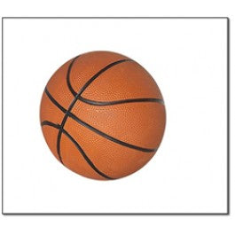 Blue Wave BG2213 7&apos;&apos; Mini Basketball
