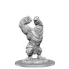 Wizkids -  Dungeons And Dragons Nolzur's Marvelous Miniatures: W21 Barlgura