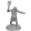 Wizkids -  Dungeons And Dragons Nolzur's Marvelous Miniatures: W21 Grimlocks