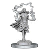 Wizkids -  Dungeons And Dragons Nolzur's Marvelous Miniatures: W21 Dark Spellcaster And Flameskulls