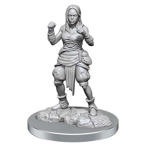 Wizkids -  Pathfinder: Deep Cuts Unpainted Miniatures: W21 Female Half-Elf Monks