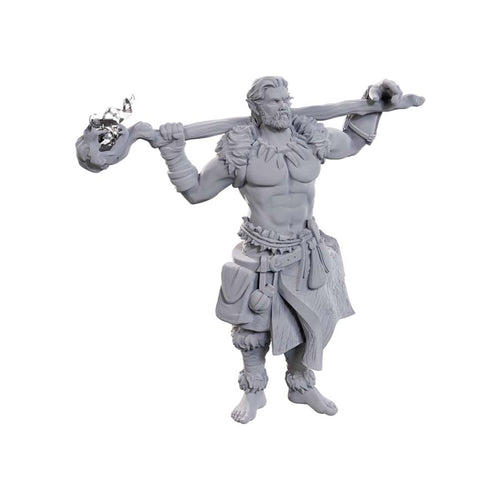 Wizkids -  Dungeons And Dragons Nolzur's Marvelous Miniatures: W24 Archdruid And Martial Arts Adept