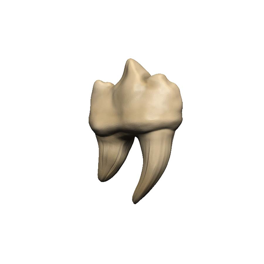 Wizkids -  Dungeons And Dragons: Teeth Of Dahlver-Nar: Bite-Sized Artifact
