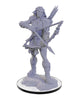 Wizkids - Pathfinder Deep Cuts Miniatures: Wood Giant