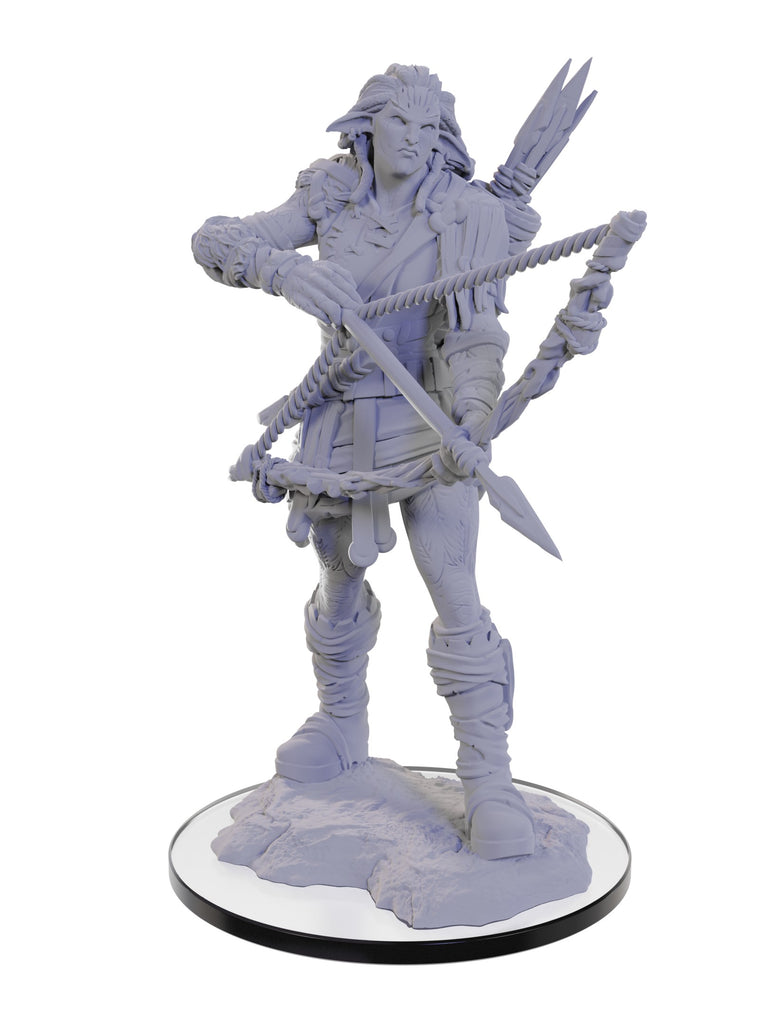 Wizkids - Pathfinder Deep Cuts Miniatures: Wood Giant