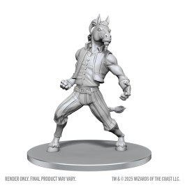 Wizkids - D&D Nolzur's Marvelous Miniatures: Equinal Guardinal