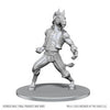 Wizkids - D&D Nolzur's Marvelous Miniatures: Equinal Guardinal
